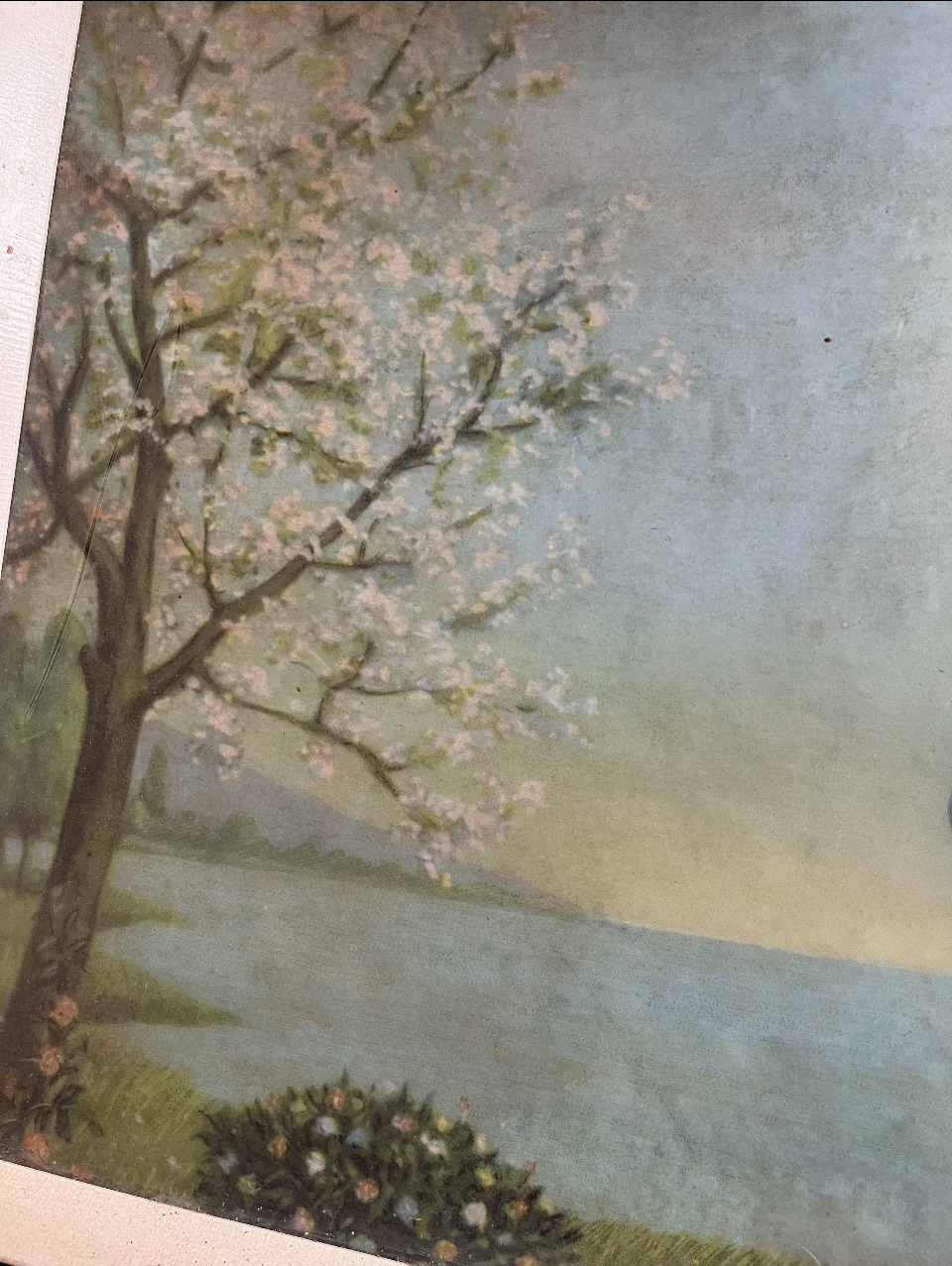 left side of image